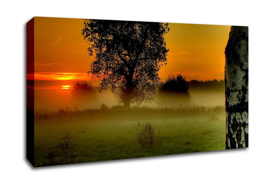 Morning Moment Canvas Wall Art