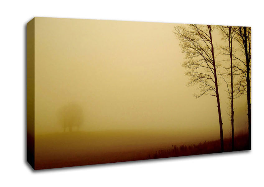 Naked Trees Canvas Wall Art