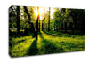 Paradise Canvas Wall Art