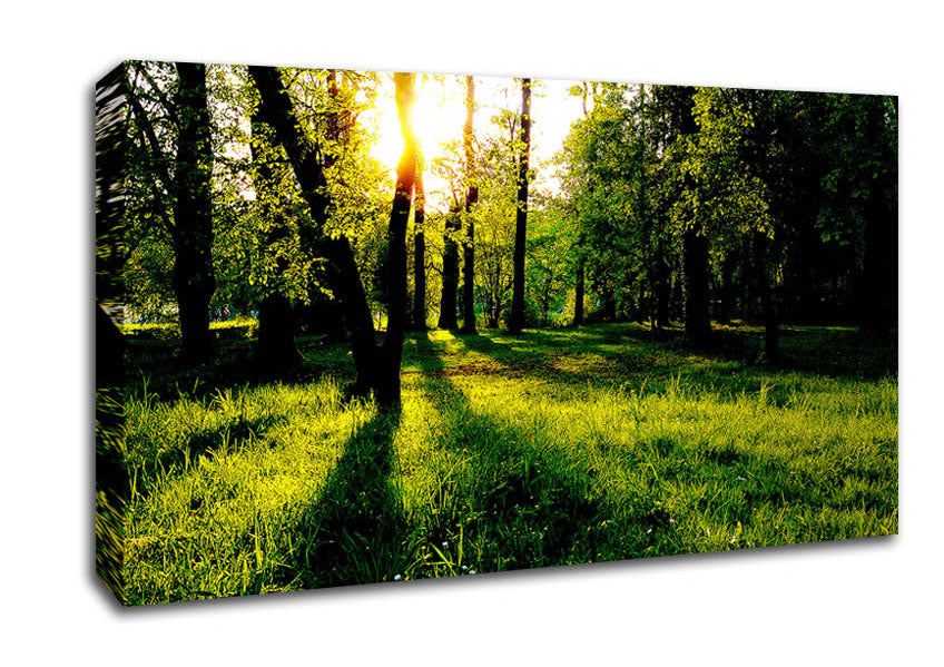 Paradise Canvas Wall Art