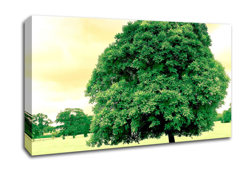 Green Tree Canvas Wall Art