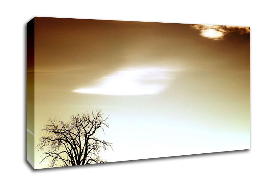 Lone Tree Canvas Wall Art