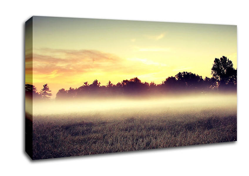 Morning Mist Canvas Wall Art