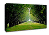 Orchard Canvas Wall Art