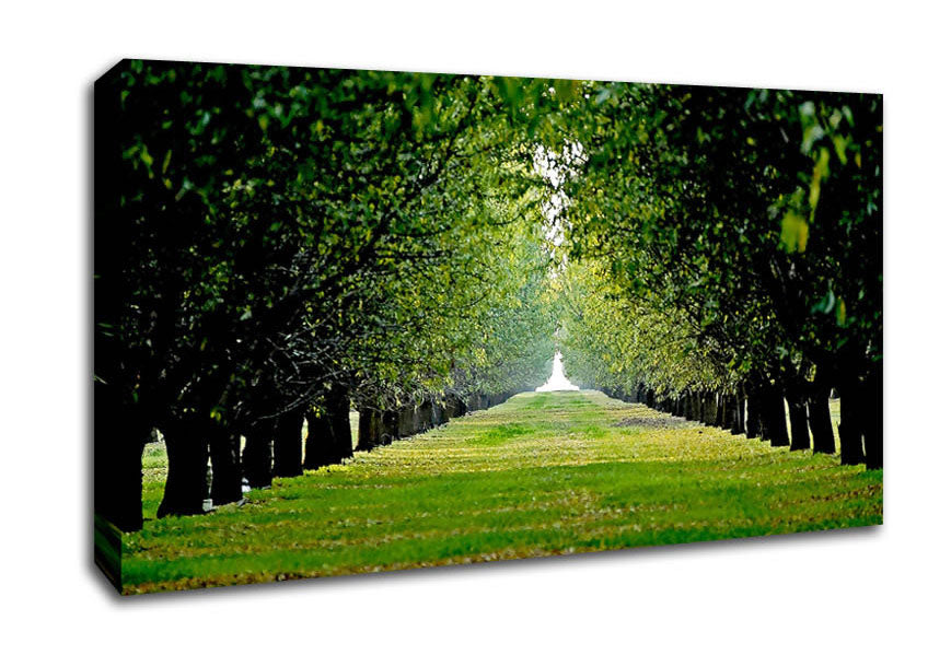 Orchard Canvas Wall Art