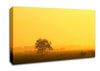Misty Morning Canvas Wall Art
