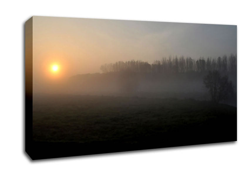 Morning Walk Canvas Wall Art
