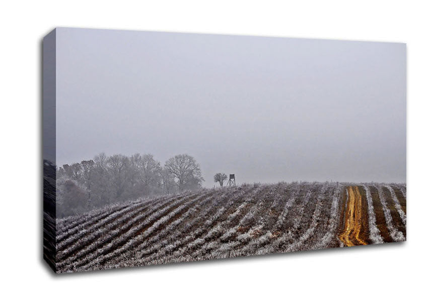 Land Canvas Wall Art