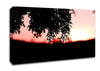 Pine Shrubs In Sunset Canvas Wall Art