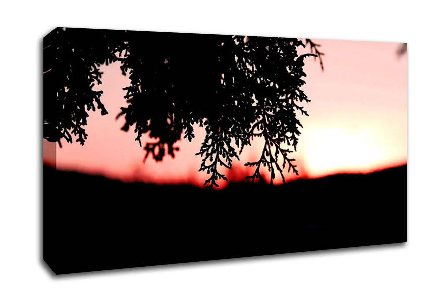 Pine Shrubs In Sunset Canvas Wall Art