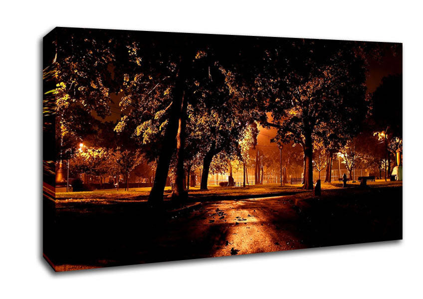 Park At Night City Canvas Wall Art