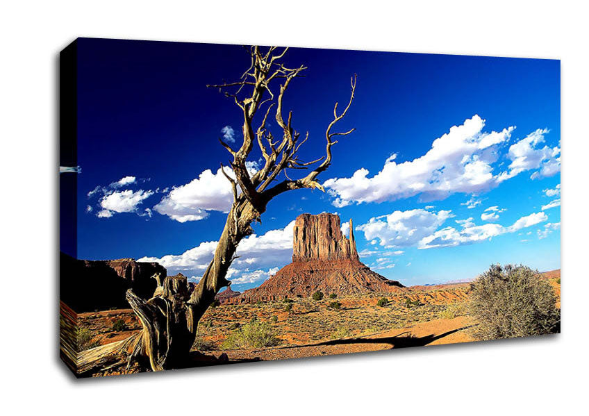 Monument Valley Arizona Canvas Wall Art