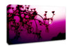 Pink Haze Canvas Wall Art