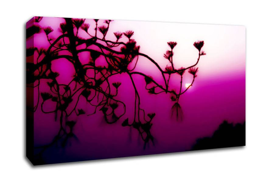 Pink Haze Canvas Wall Art