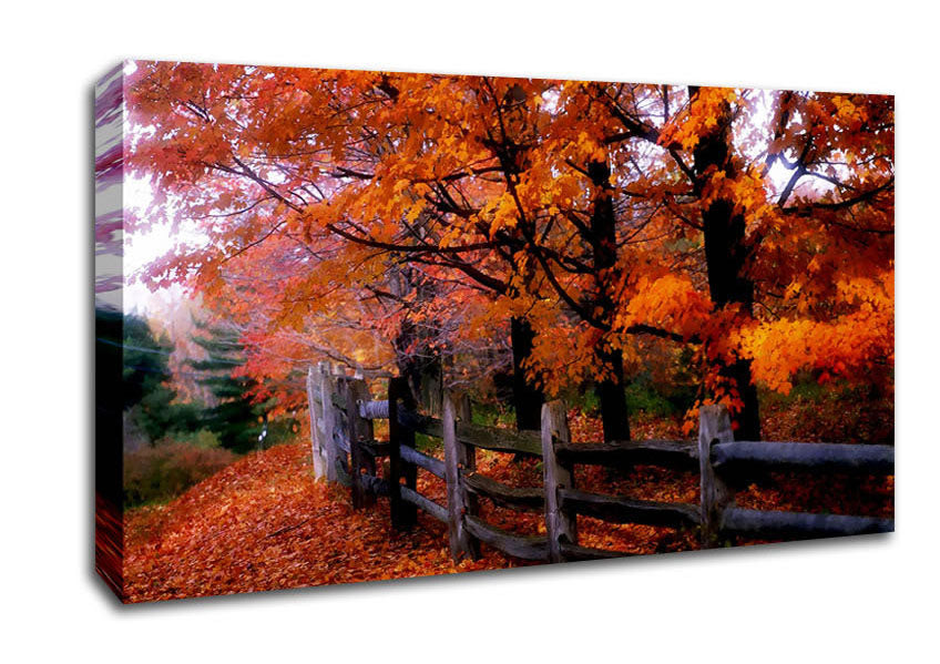 Orange Autumn Leaves Canvas Wall Art