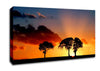 Morning Sunrise Peaking Through The Trees Canvas Wall Art