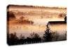 Horses In The Morning Mist Canvas Wall Art