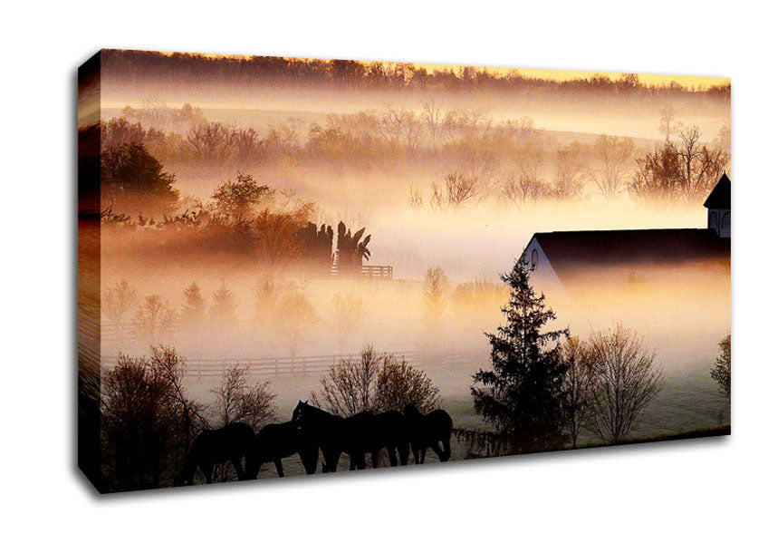 Horses In The Morning Mist Canvas Wall Art