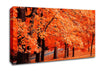 Orange Tree Parade Canvas Wall Art