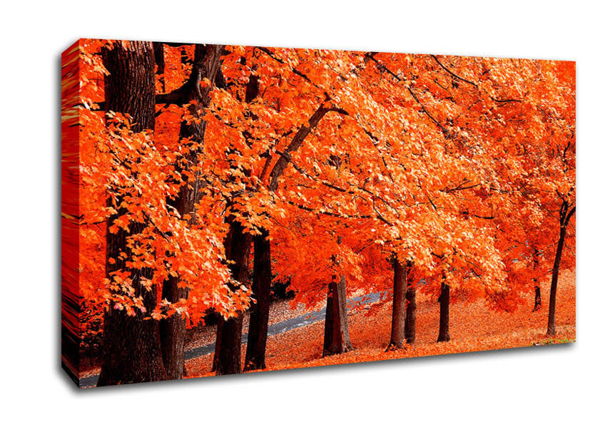 Orange Tree Parade Canvas Wall Art