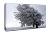 In The Dead Of Winter Canvas Wall Art