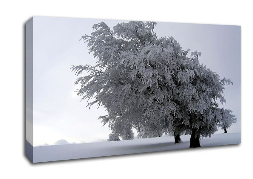 In The Dead Of Winter Canvas Wall Art