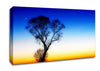 Magical Skies Canvas Wall Art