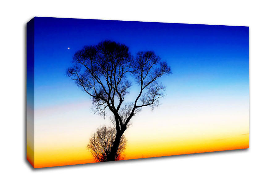 Magical Skies Canvas Wall Art
