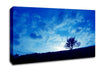 Morning Tree Canvas Wall Art