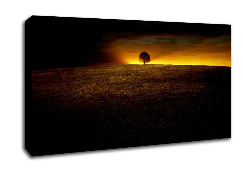 Lonely Tree At First Light Canvas Wall Art