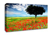 Poppy Field Tree Canvas Wall Art