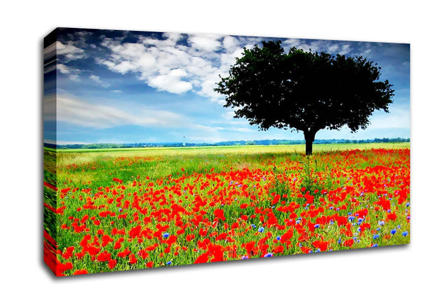 Poppy Field Tree Canvas Wall Art