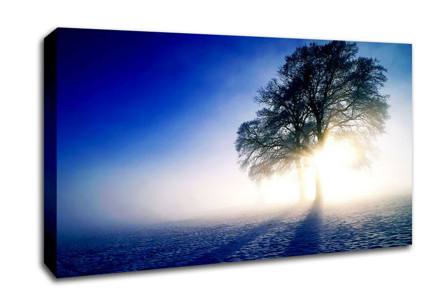 Misty Tree At Sunrise Canvas Wall Art