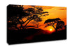 Orange Sun Sky Blaze Canvas Wall Art
