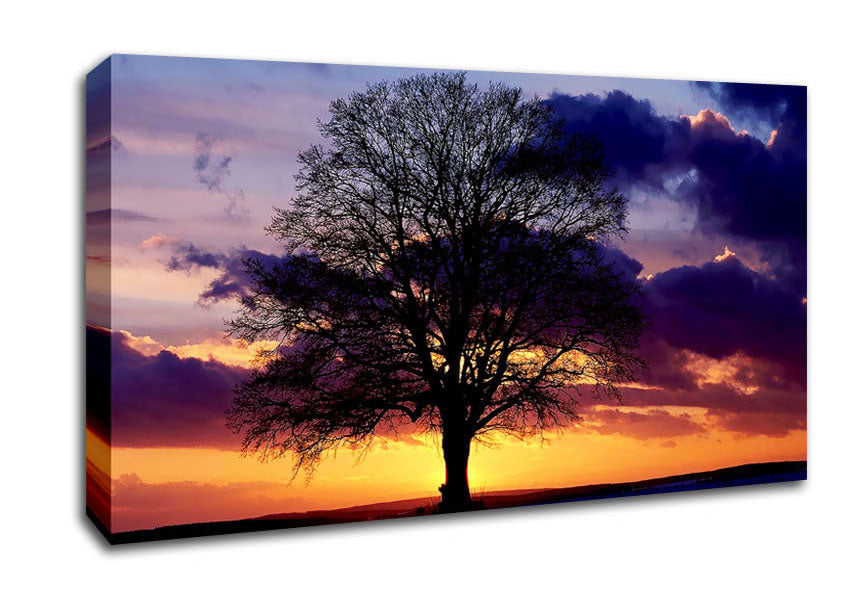 Oak Trees Light Canvas Wall Art