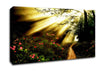 Mystical Garden Path Canvas Wall Art