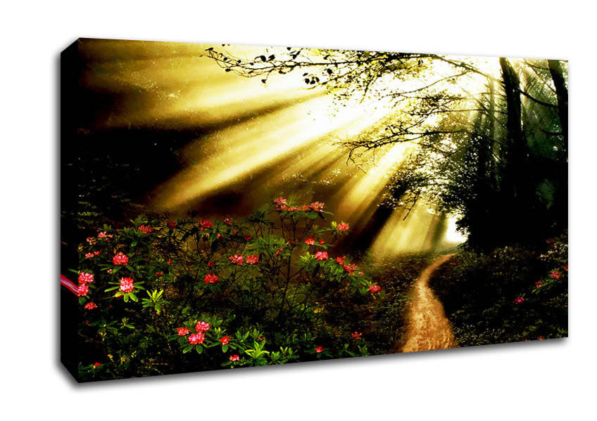 Mystical Garden Path Canvas Wall Art