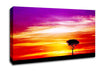 Lonsome Tree Canvas Wall Art
