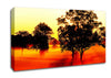 Orange Treeline Mist Canvas Wall Art