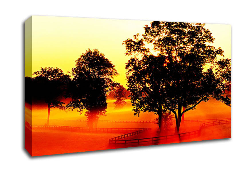 Orange Treeline Mist Canvas Wall Art