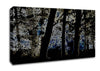 Neon Forrest At Night Canvas Wall Art