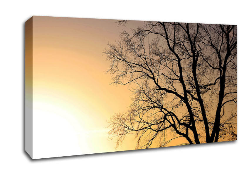 Calm Winter Sun Canvas Wall Art