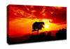 Orange Cloud Sunburst Canvas Wall Art