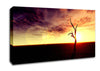Oceans Driftwood Canvas Wall Art
