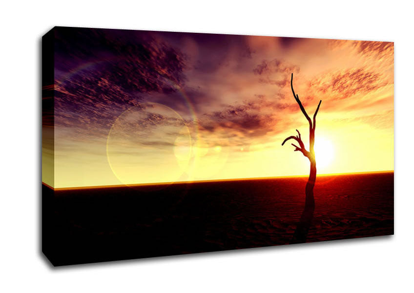 Oceans Driftwood Canvas Wall Art
