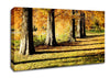 Orange Winter Woodland Walk Canvas Wall Art