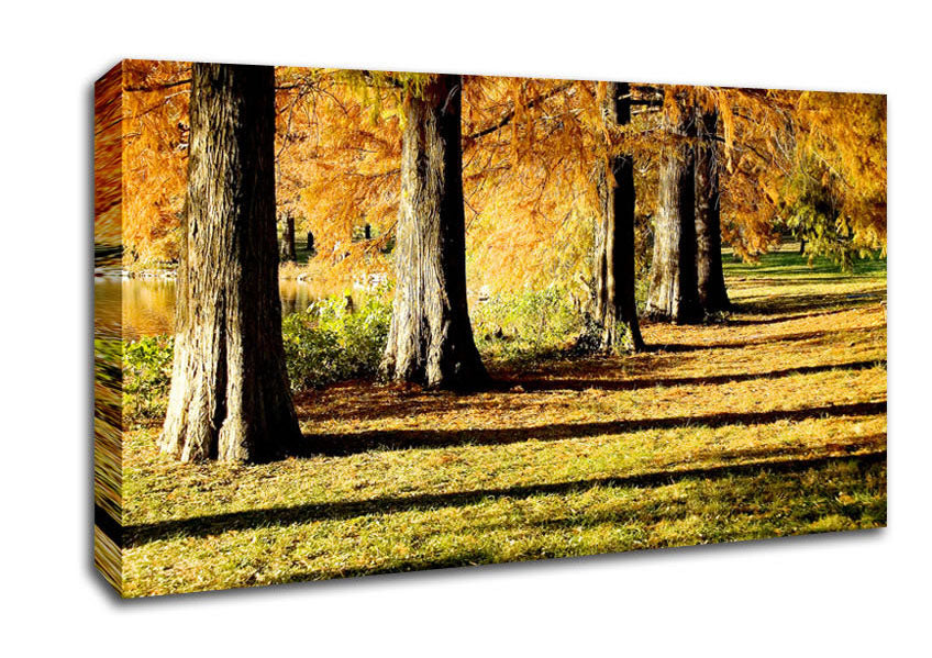 Orange Winter Woodland Walk Canvas Wall Art