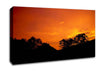 Orange Skys Over Forest Canvas Wall Art