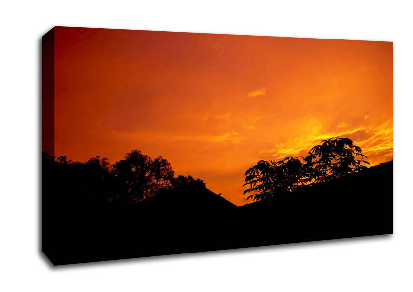 Orange Skys Over Forest Canvas Wall Art