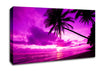 Pink Paradise Canvas Wall Art